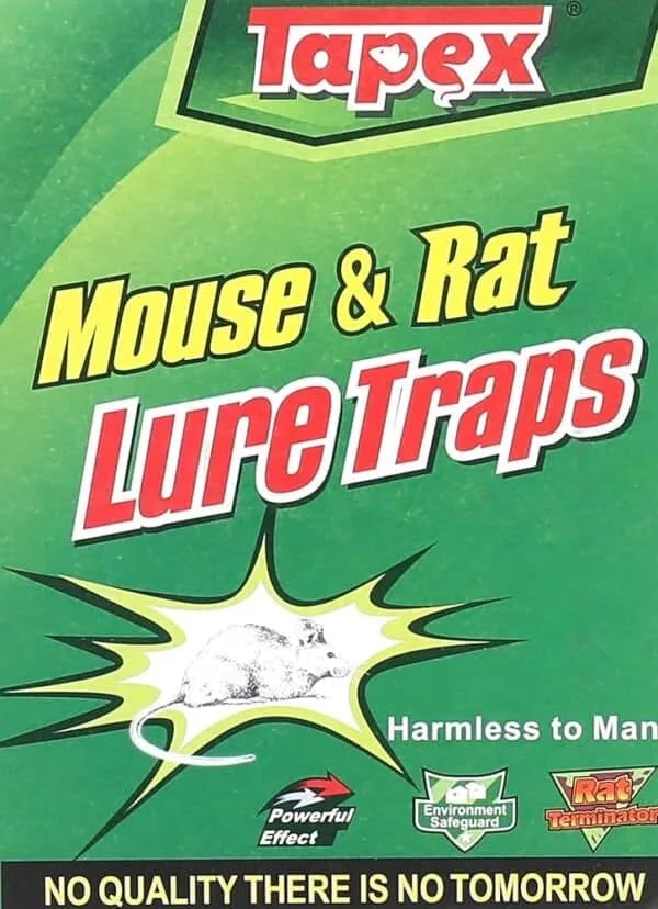 MOUSE AND RAT GLUE TRAPS