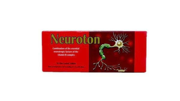 Neuroton